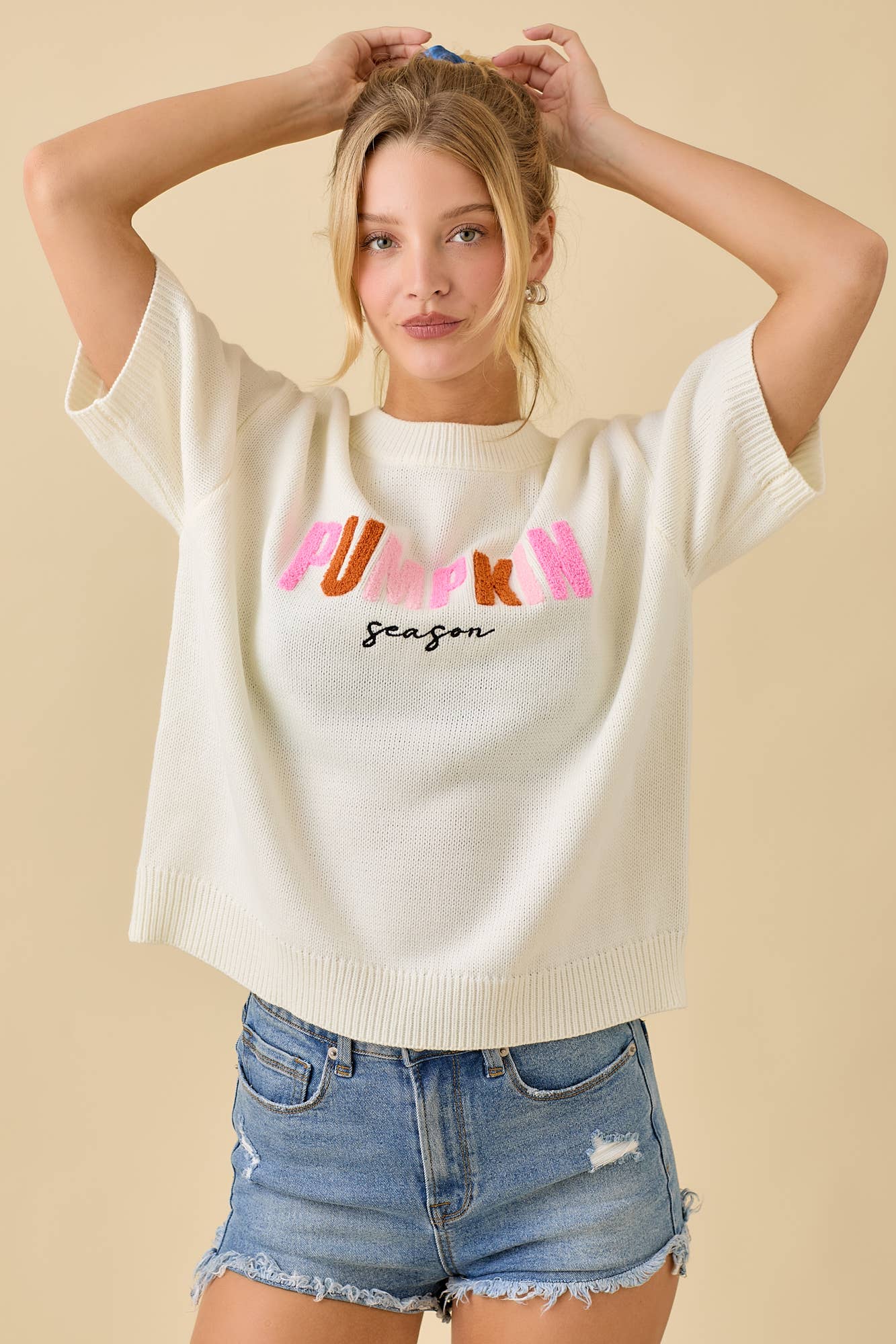 Pumpkin Season Embroidered Short Sleeve Sweater