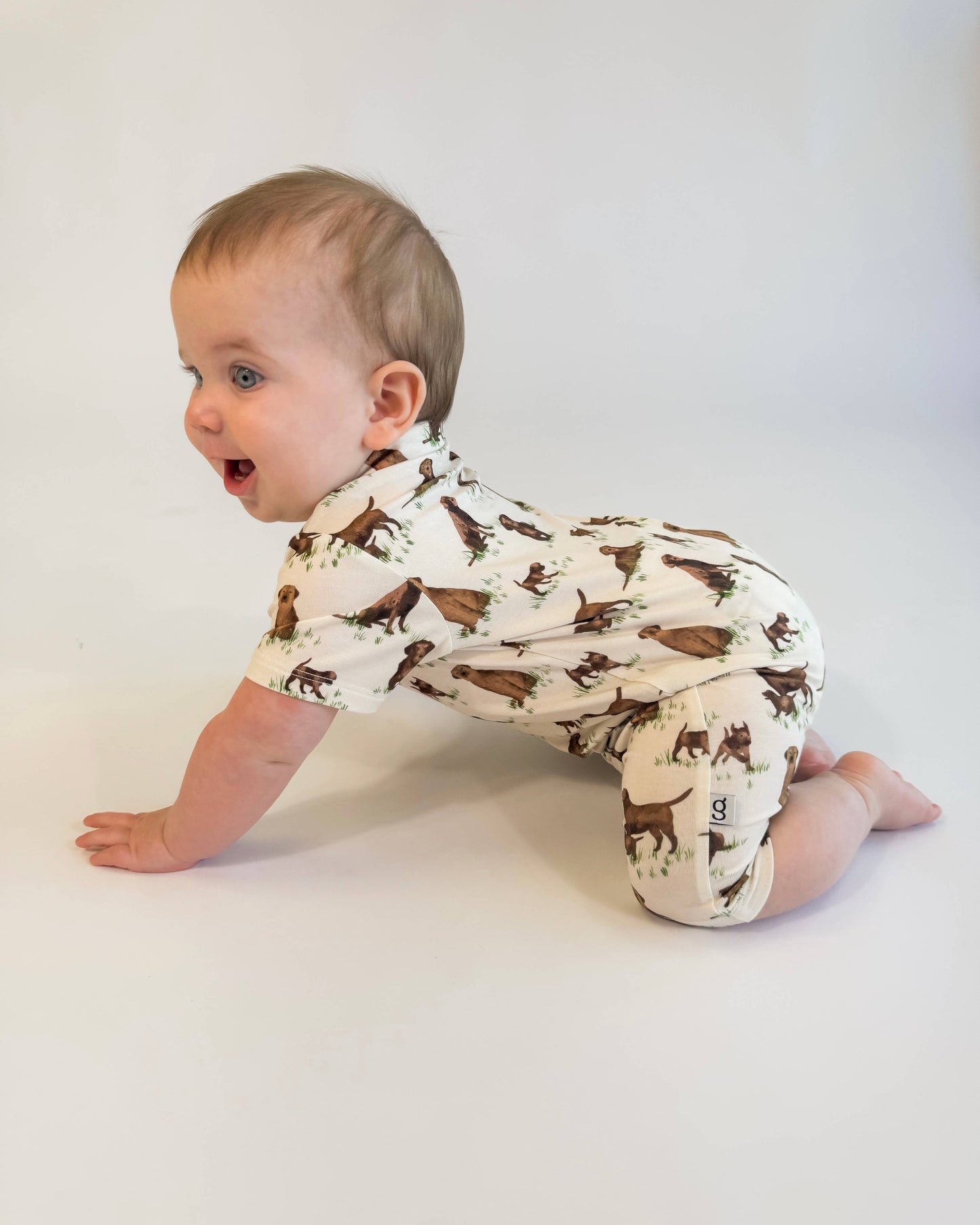 Chocolate Lab Dogs - SS Polo Romper