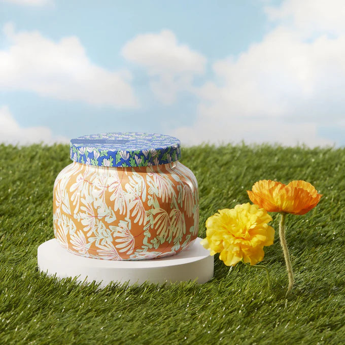 Havana Vanilla Pattern Play - 19 OZ