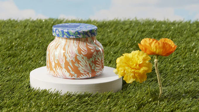 Havana Vanilla Pattern Play - 8 OZ