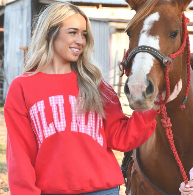Red/Pink Sweatshirt