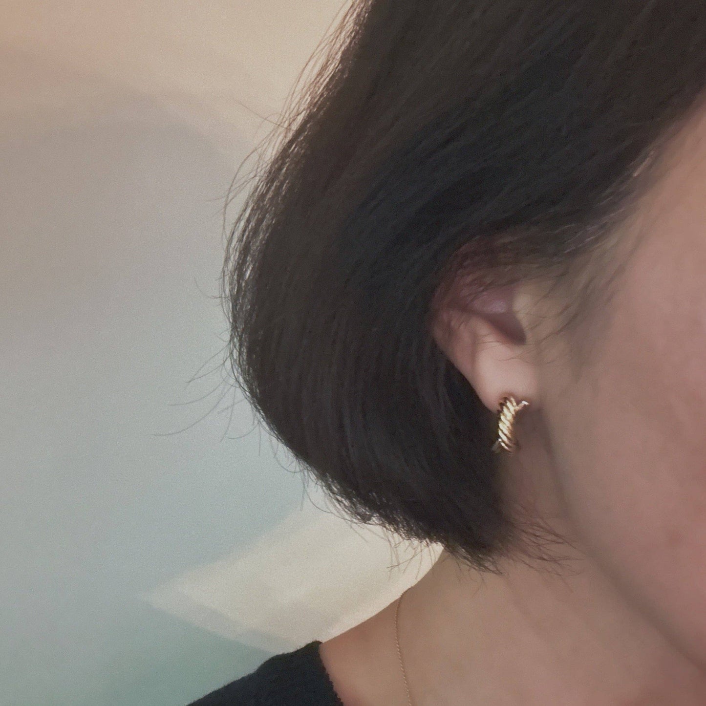 Lean On Two Tone Earrings