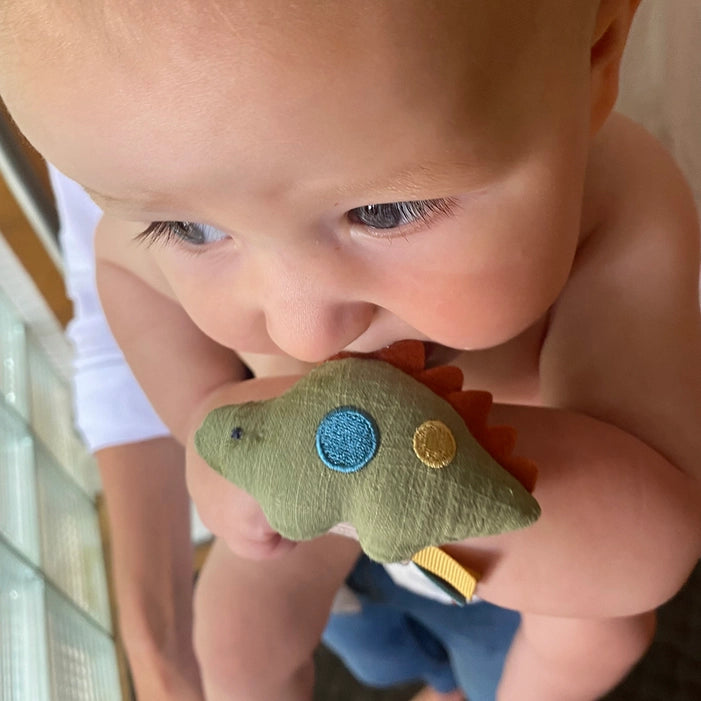 Itzy Ritzy Rattle