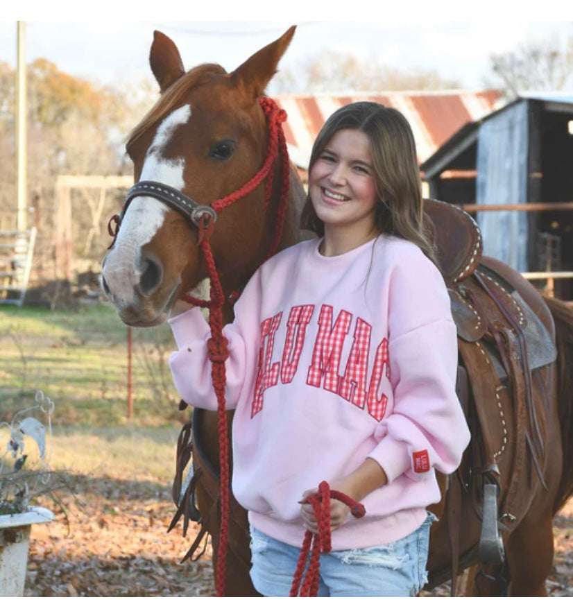 Pink/Red Sweatshirt