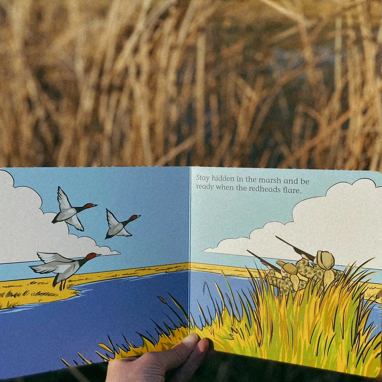 Duck Hunt Children’s Book