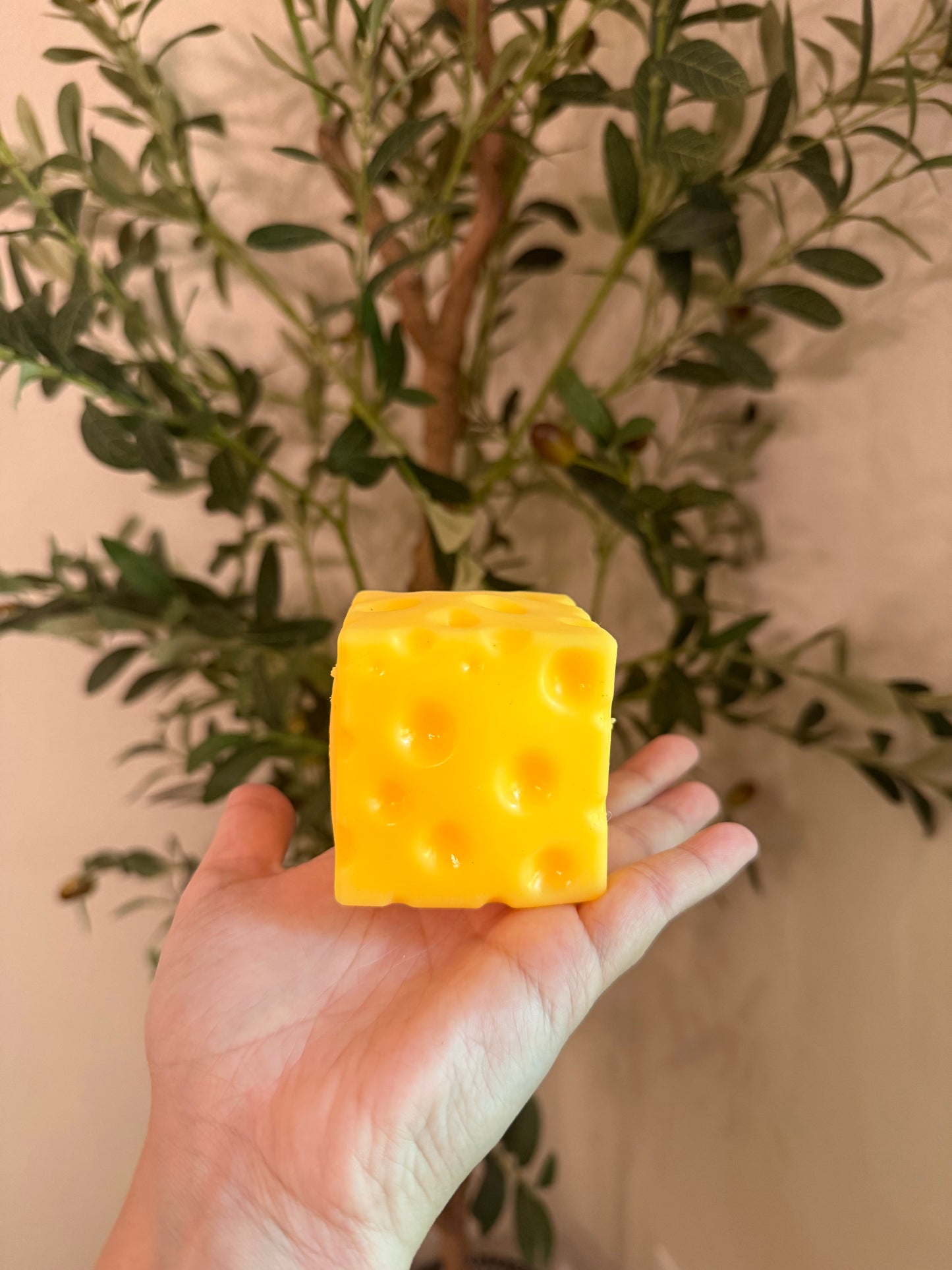 Squishy Cheese