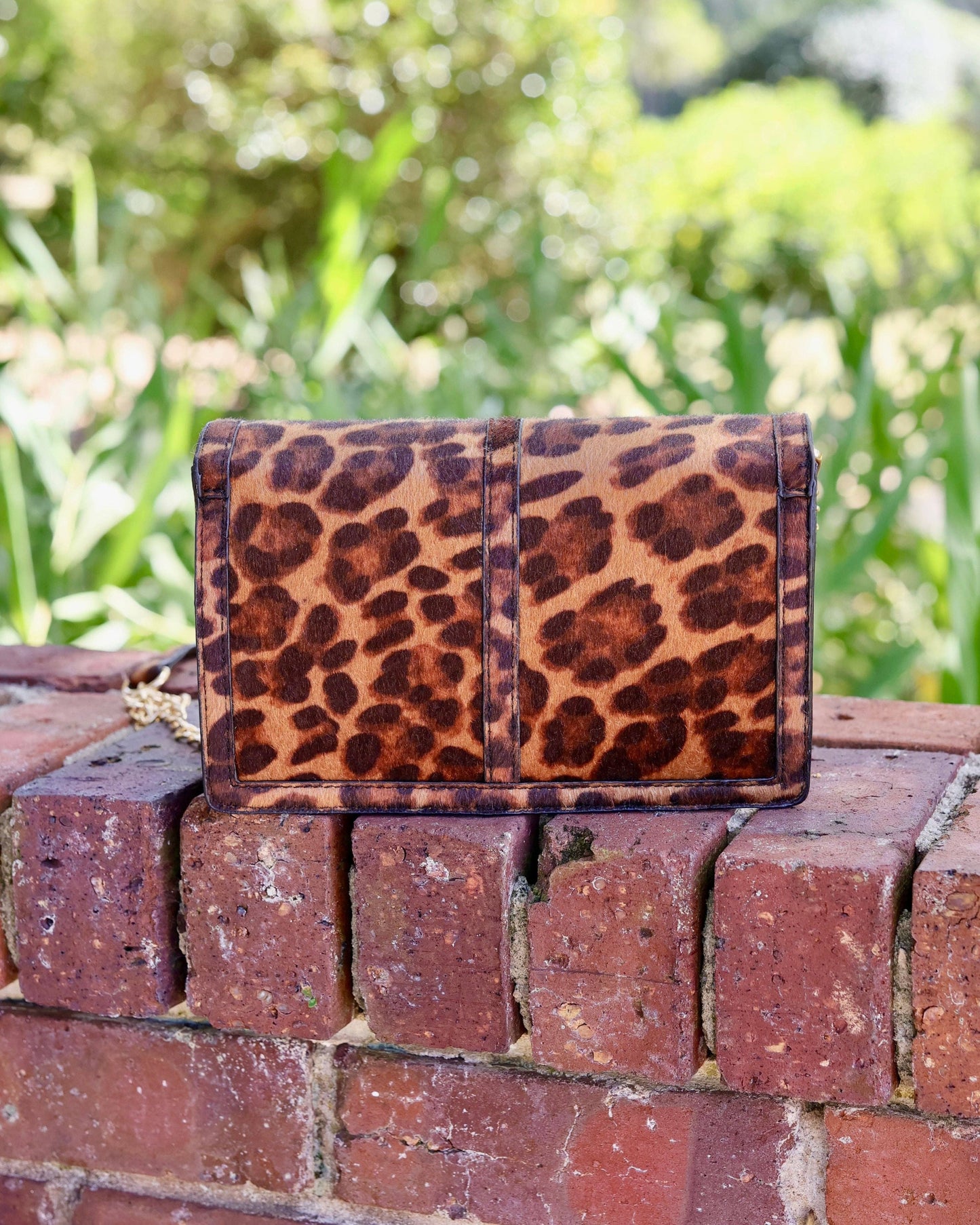 Cecilia Circle Logo Handbag Spotted Saddle