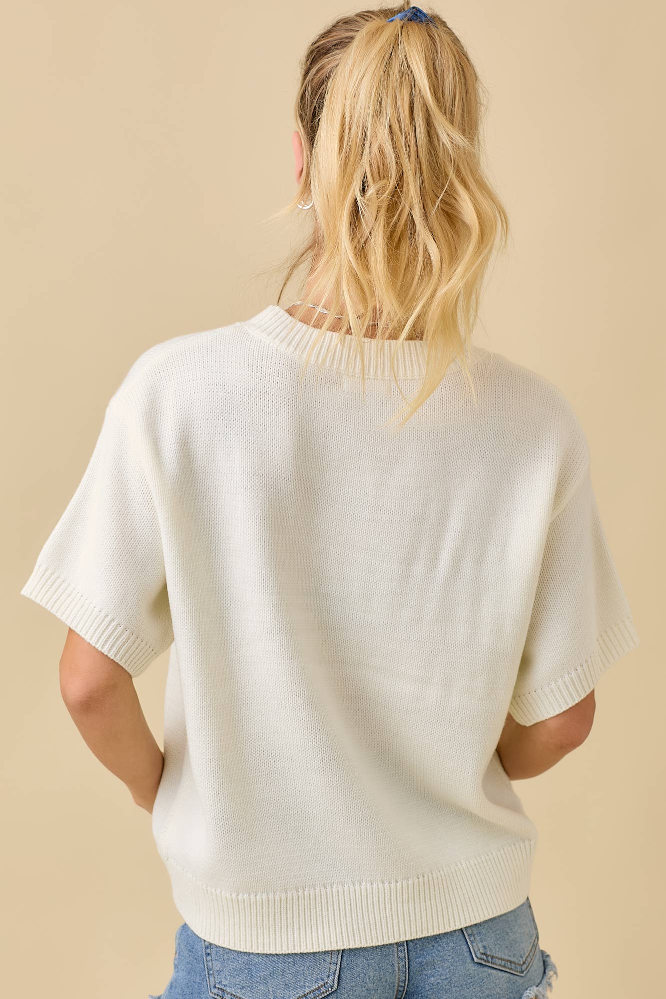 Pumpkin Season Embroidered Short Sleeve Sweater