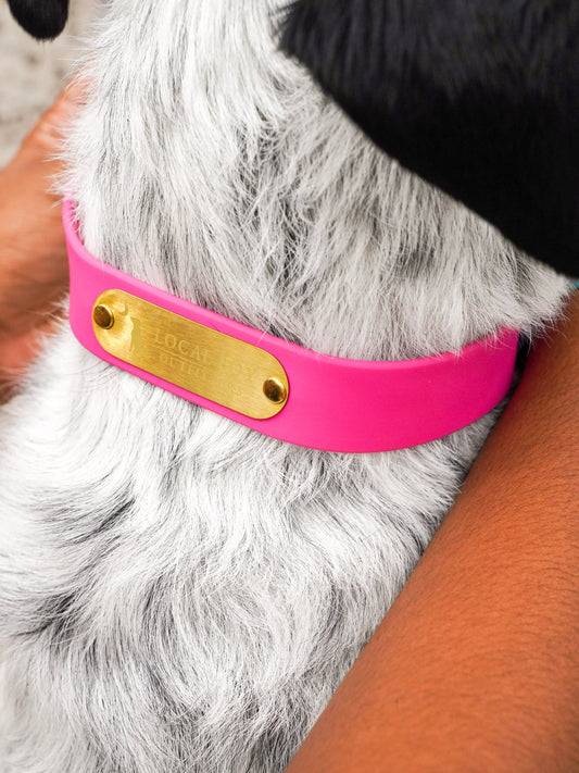 Biothane Dog Collar