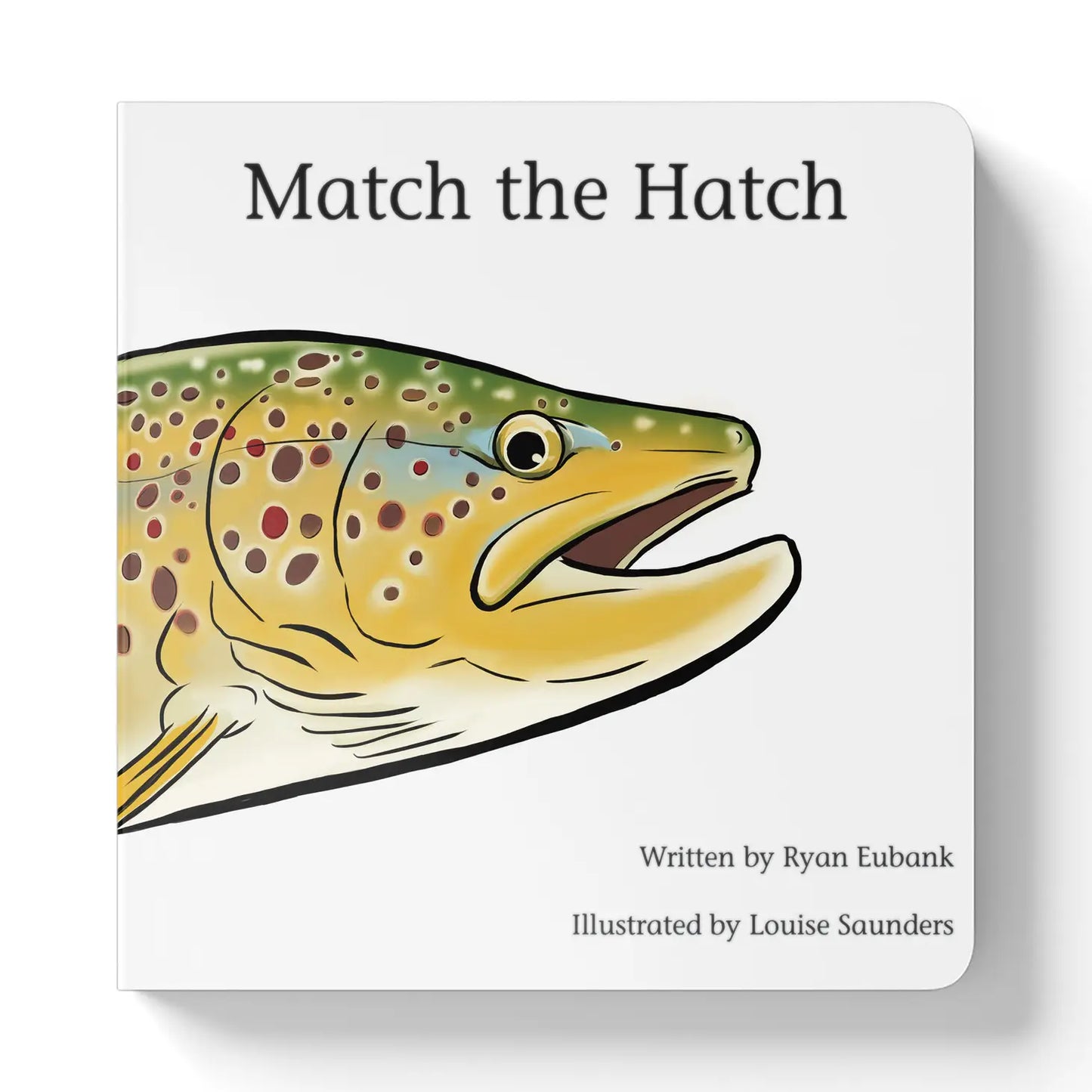 Match The Hatch Children’s Book