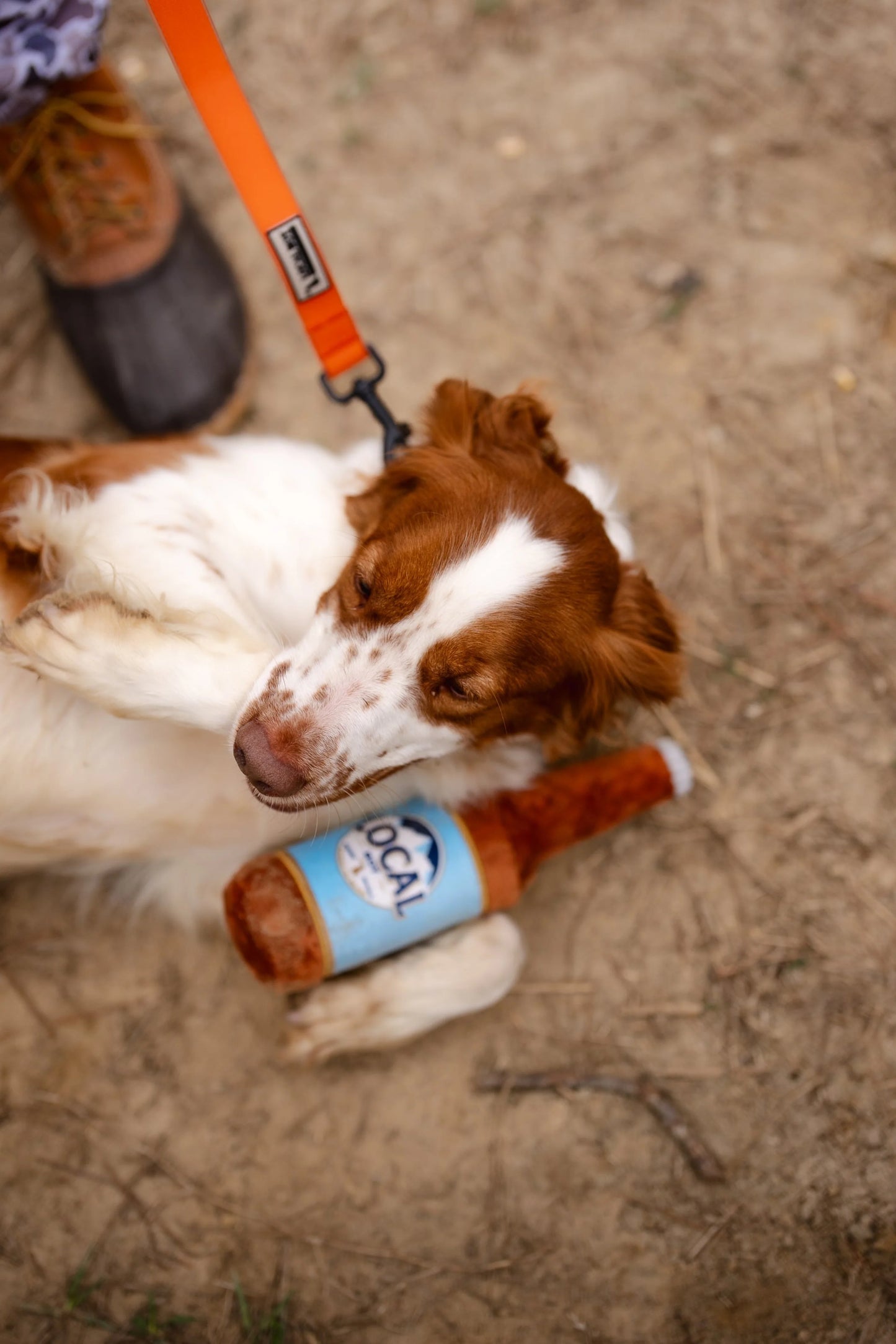 Local Latte Bottle Dog Toy