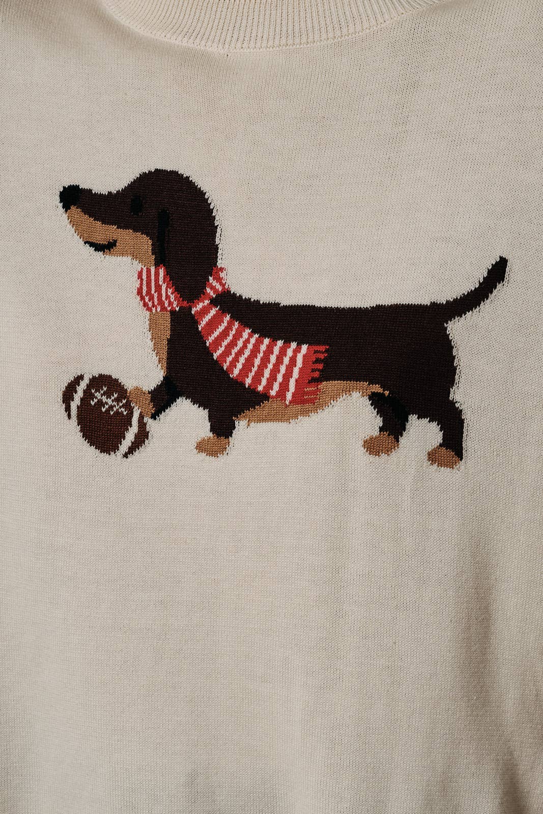 "GAME DAY DOG" GRAPHIC SWEATER