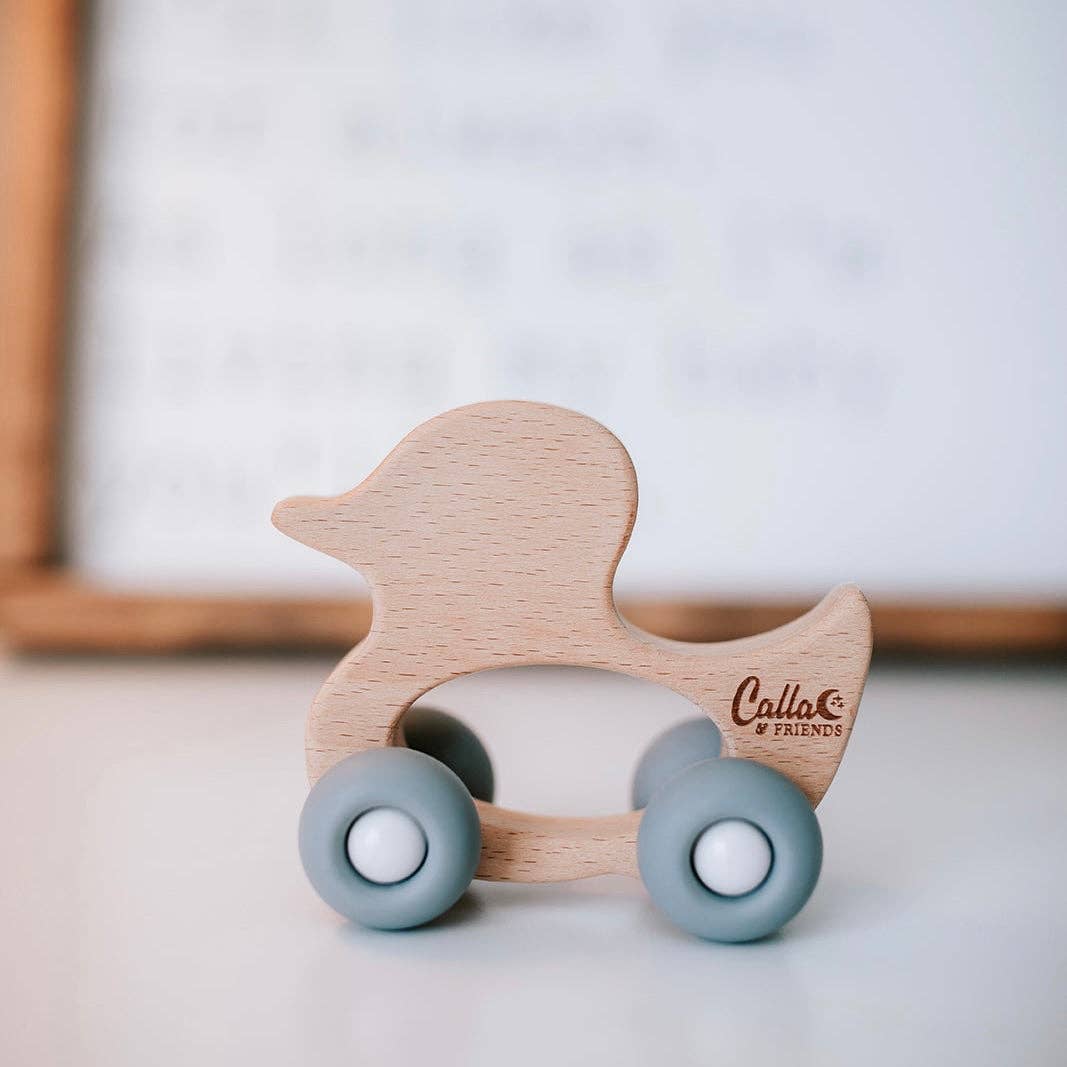 Rollin' Friends - Duck