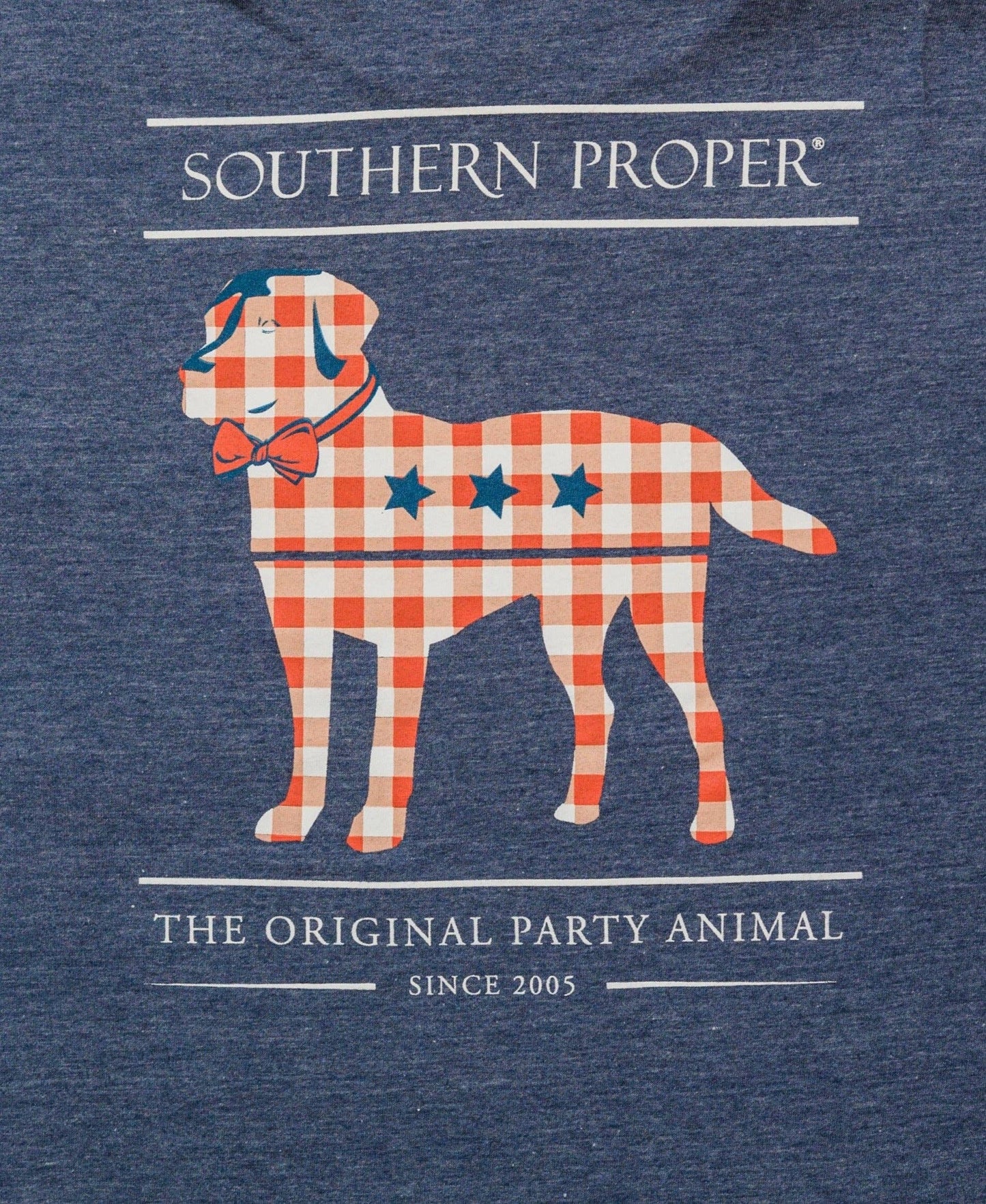 Gingham Party Animal SS Tee